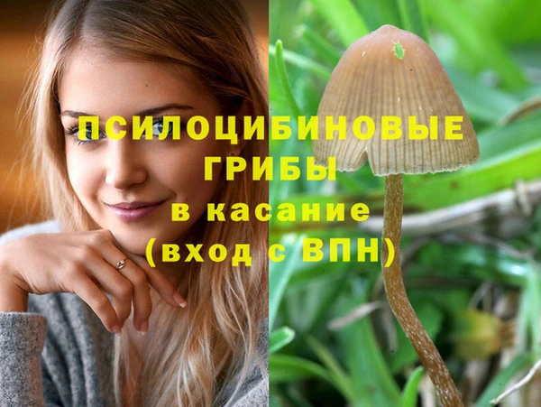 синтетический гашиш Дмитровск