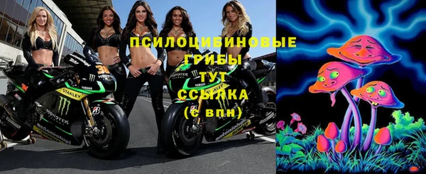 Альфа ПВП Дмитриев
