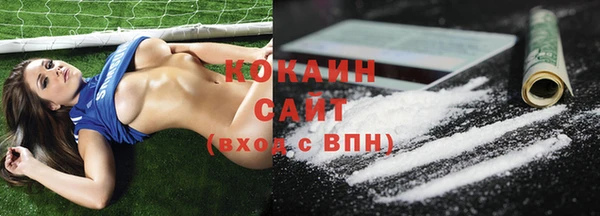 Альфа ПВП Дмитриев