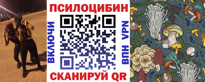 цены Болгар Галлюциногенные грибы Psilocybe