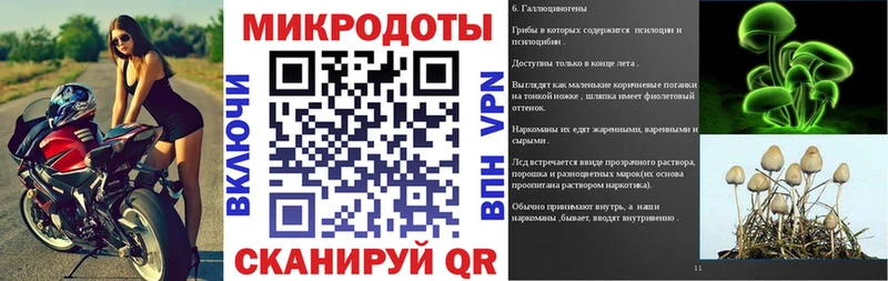Псилоцибиновые грибы мицелий Болгар